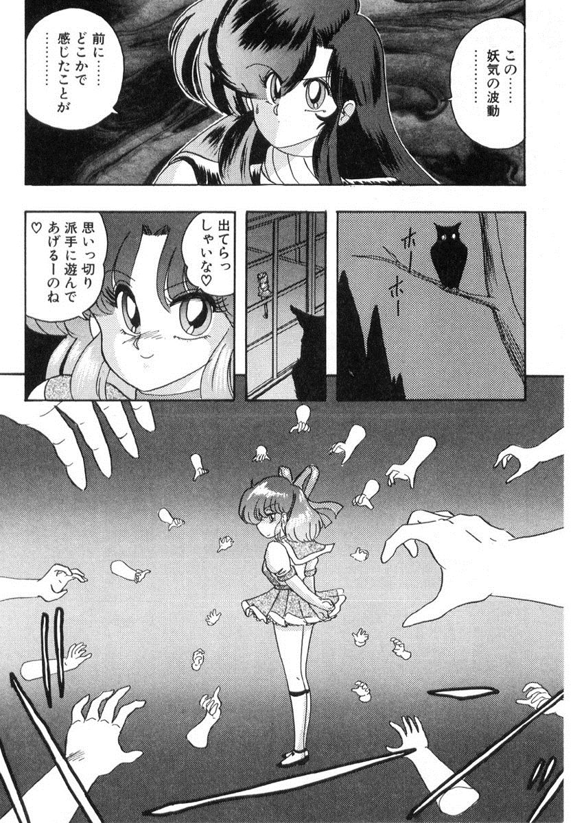 [上藤政樹] 精霊特捜フェアリィセイバー