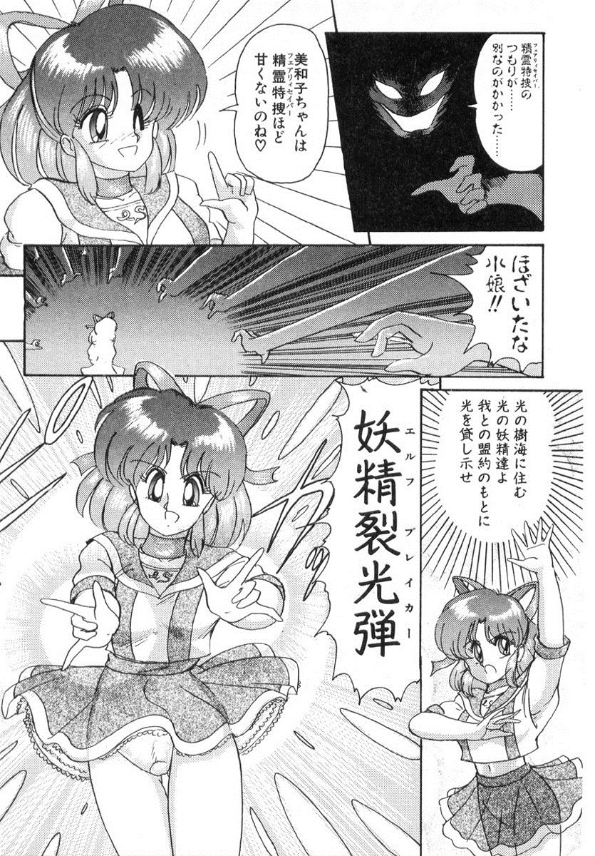 [上藤政樹] 精霊特捜フェアリィセイバー
