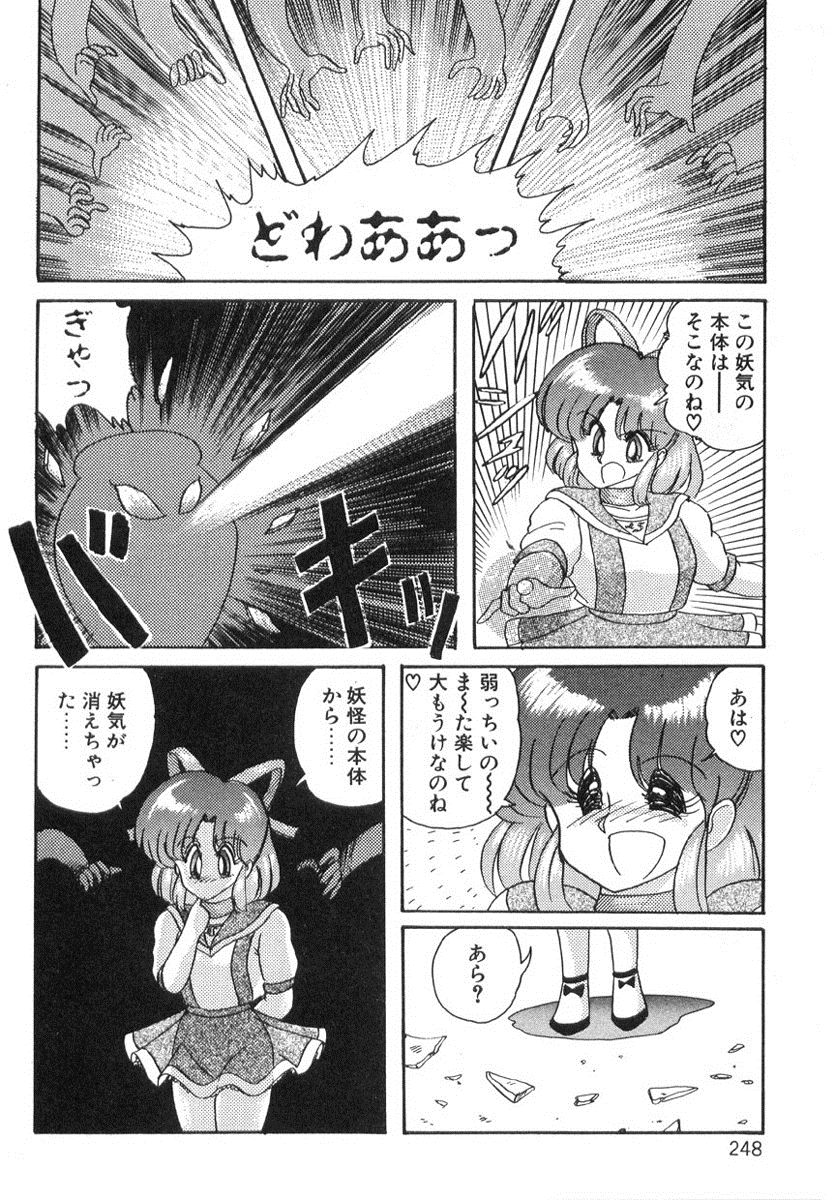 [上藤政樹] 精霊特捜フェアリィセイバー