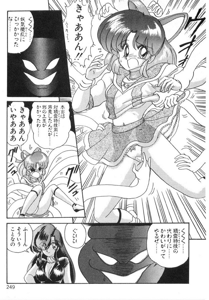 [上藤政樹] 精霊特捜フェアリィセイバー