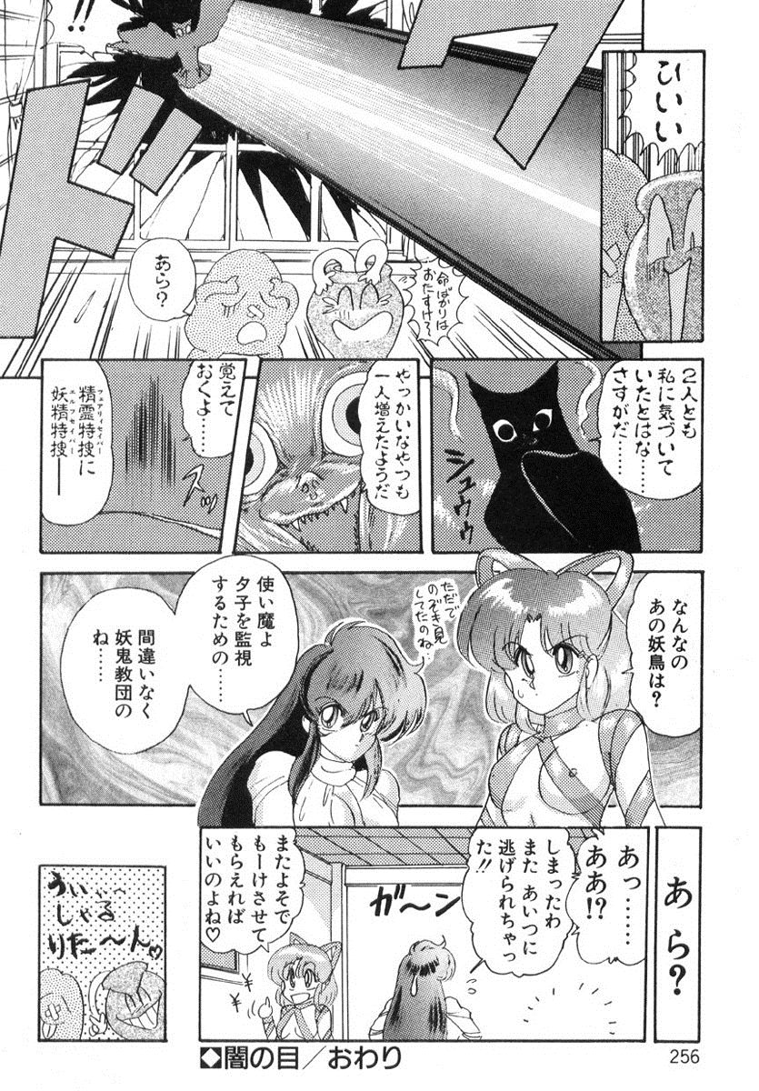 [上藤政樹] 精霊特捜フェアリィセイバー