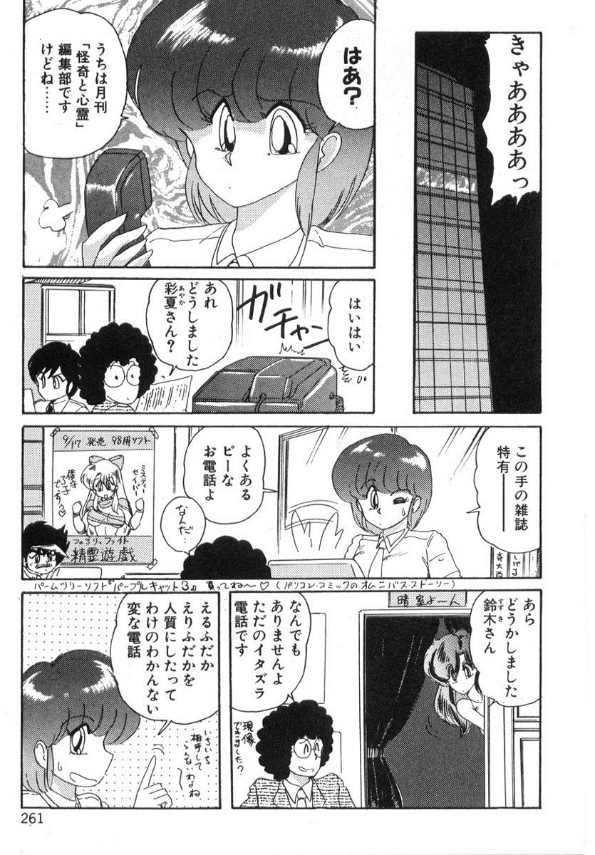 [上藤政樹] 精霊特捜フェアリィセイバー