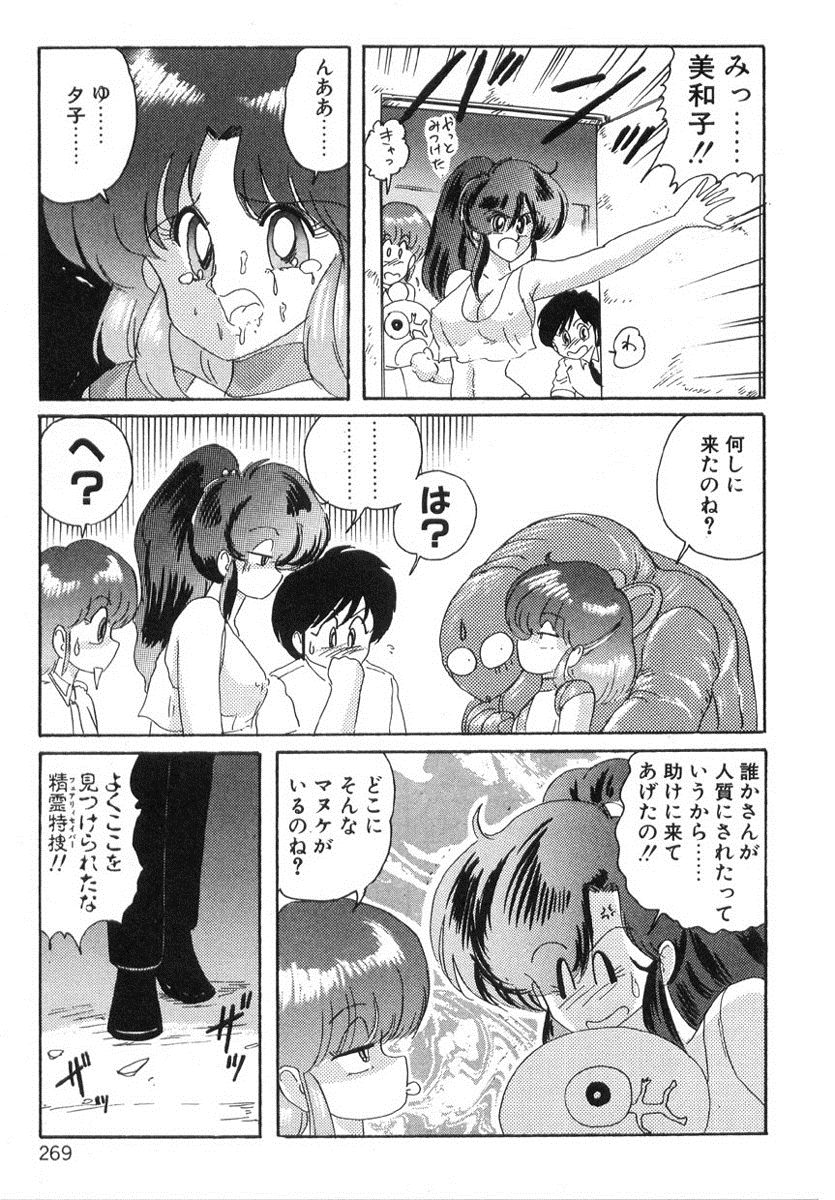 [上藤政樹] 精霊特捜フェアリィセイバー
