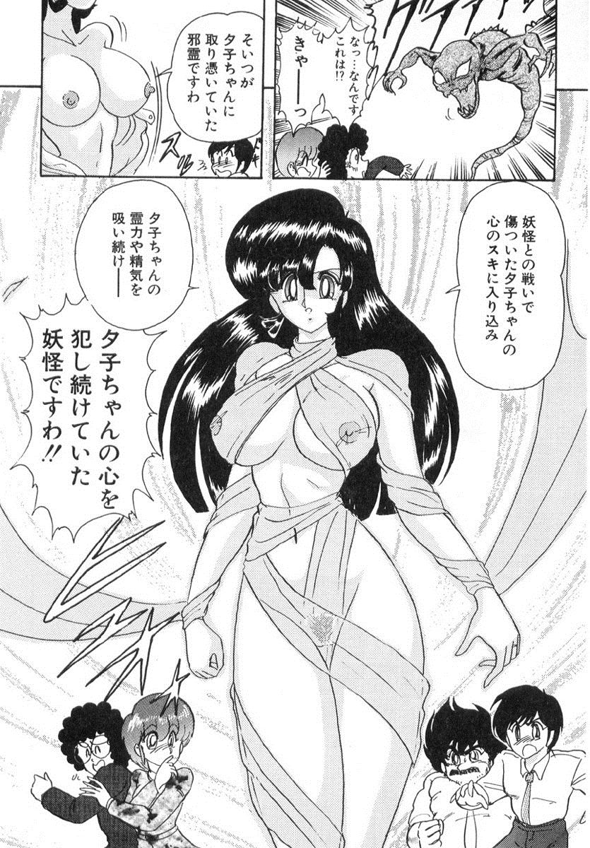 [上藤政樹] 精霊特捜フェアリィセイバー