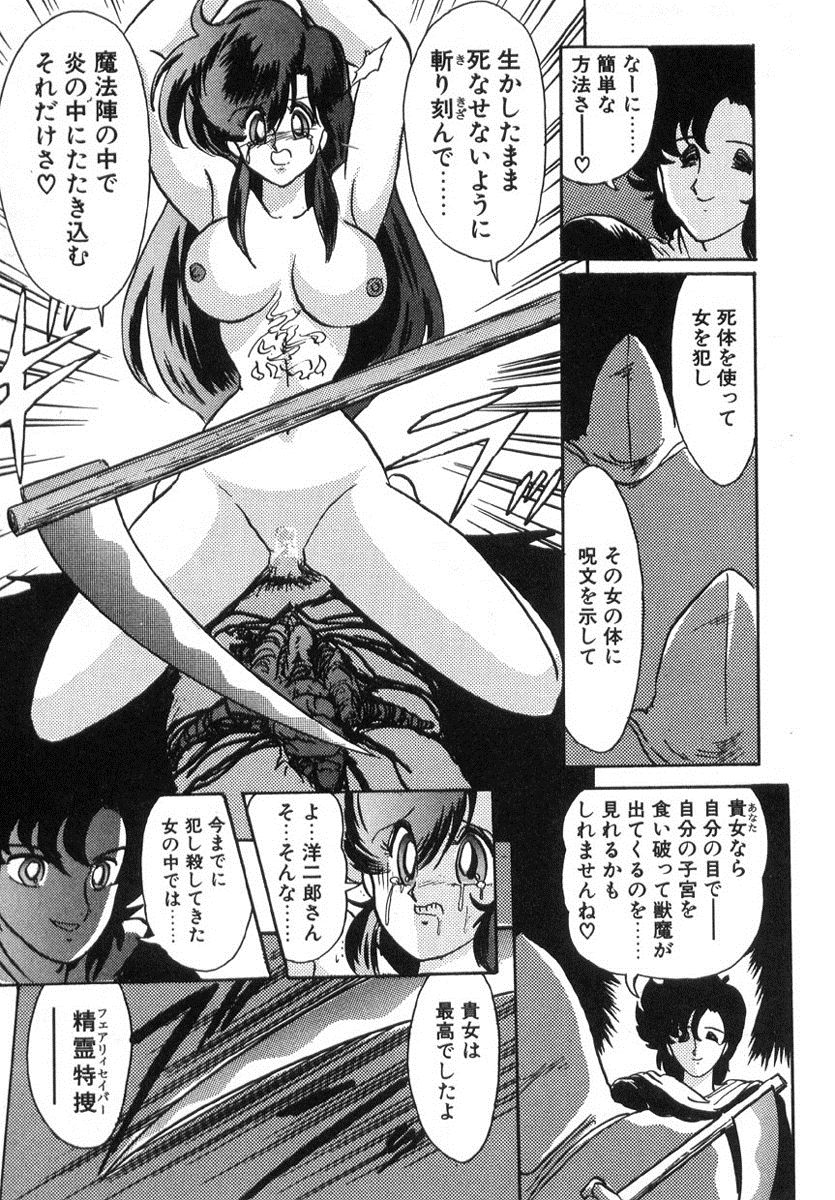 [上藤政樹] 精霊特捜フェアリィセイバー