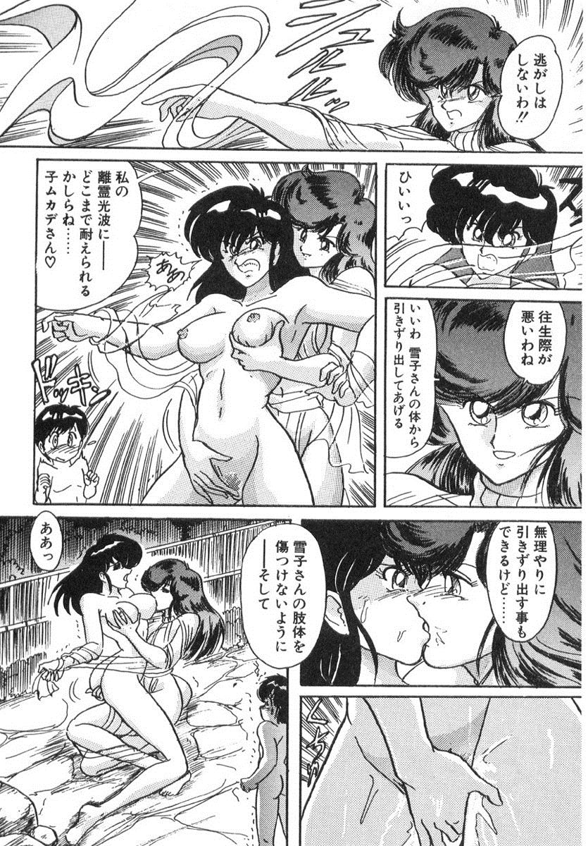 [上藤政樹] 精霊特捜フェアリィセイバー