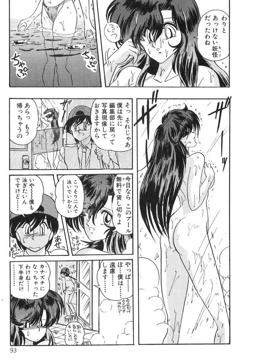 [上藤政樹] 精霊特捜フェアリィセイバー
