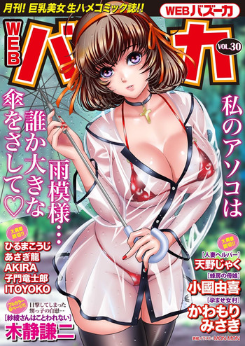 WEB バズーカ Vol.30 WEB バズーカ Vol.30