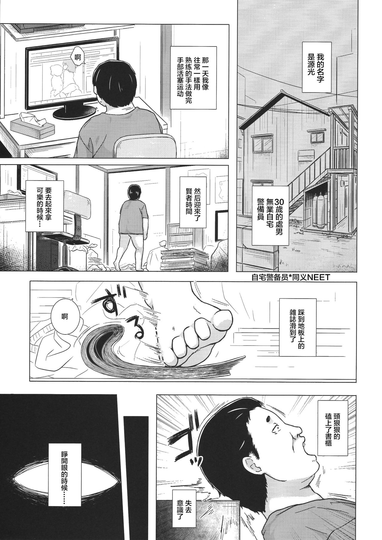 (コミティア118) [ノラネコノタマ (雪野みなと)] 光の君のさがなき計画 <葵> [中国翻訳]