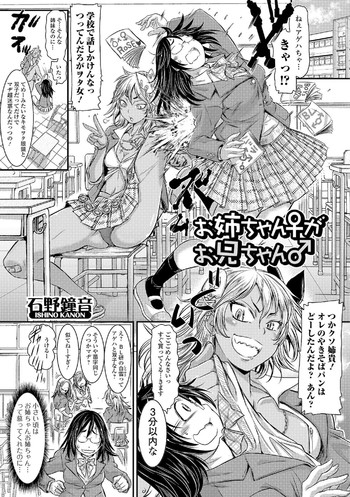 お姉ちゃん♀がお兄ちゃん♂ お姉ちゃん♀がお兄ちゃん♂