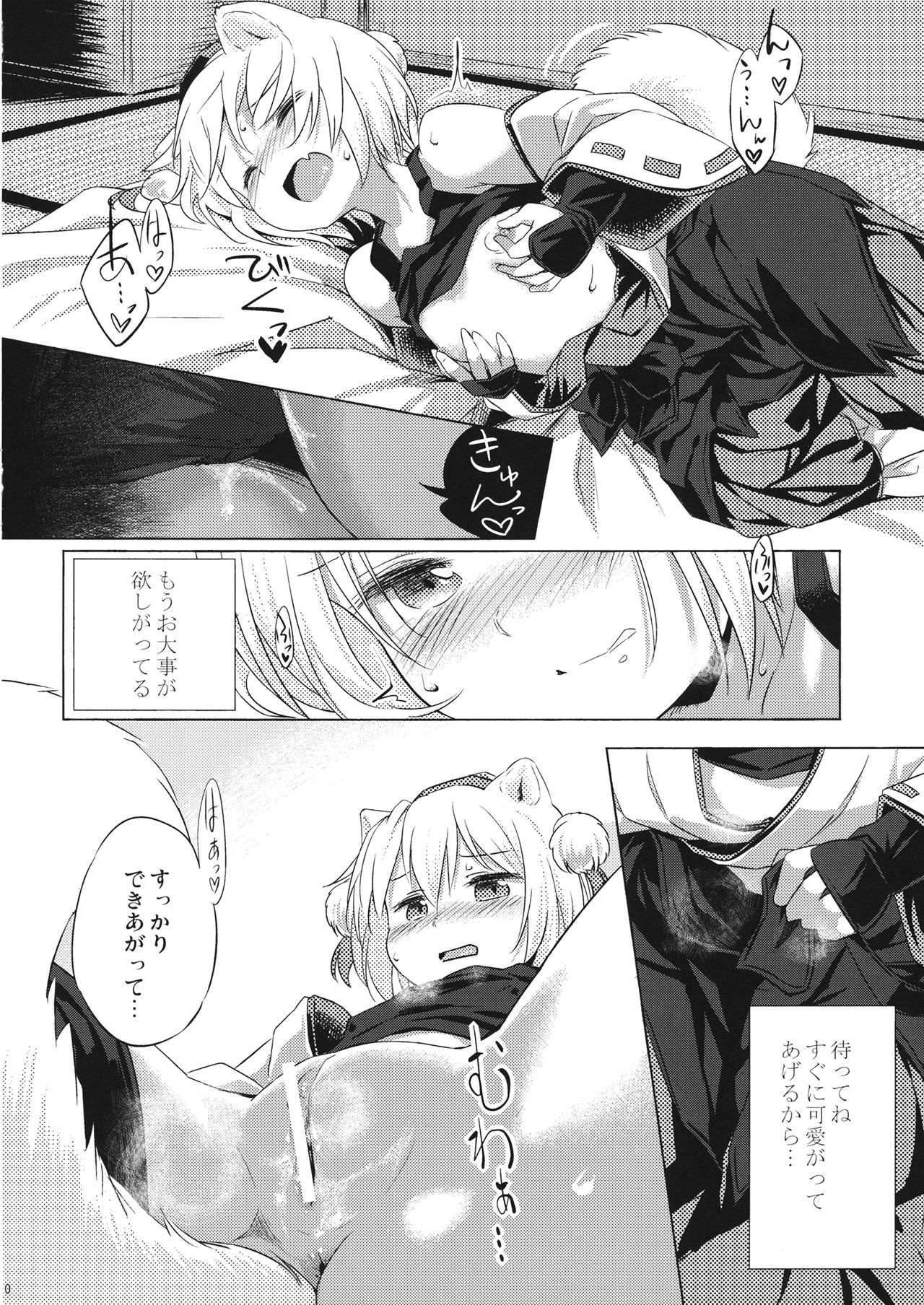 (例大祭13) [Animal Passion (茹でピー)] おなもみ (東方Project)