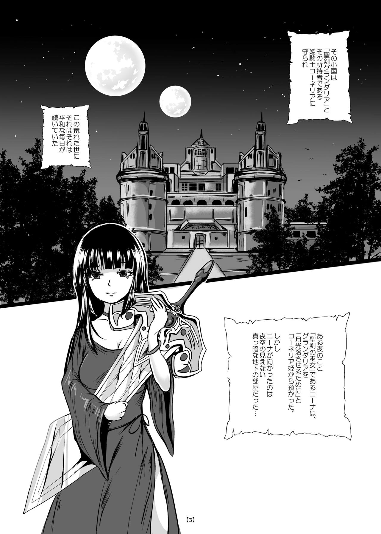 [らばた工房 (高石ふう)] 丸呑み城の姫騎士 [DL版]