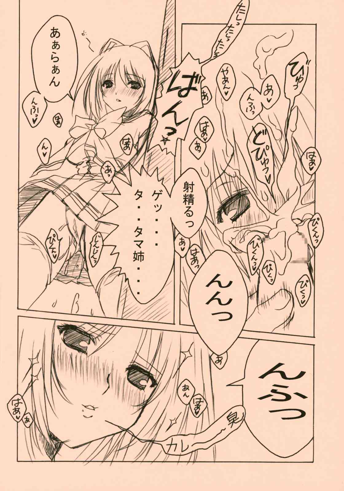 (サンクリ27) [Fuku Fuku! (福永ユミ)] ぴんく (トゥハート2)