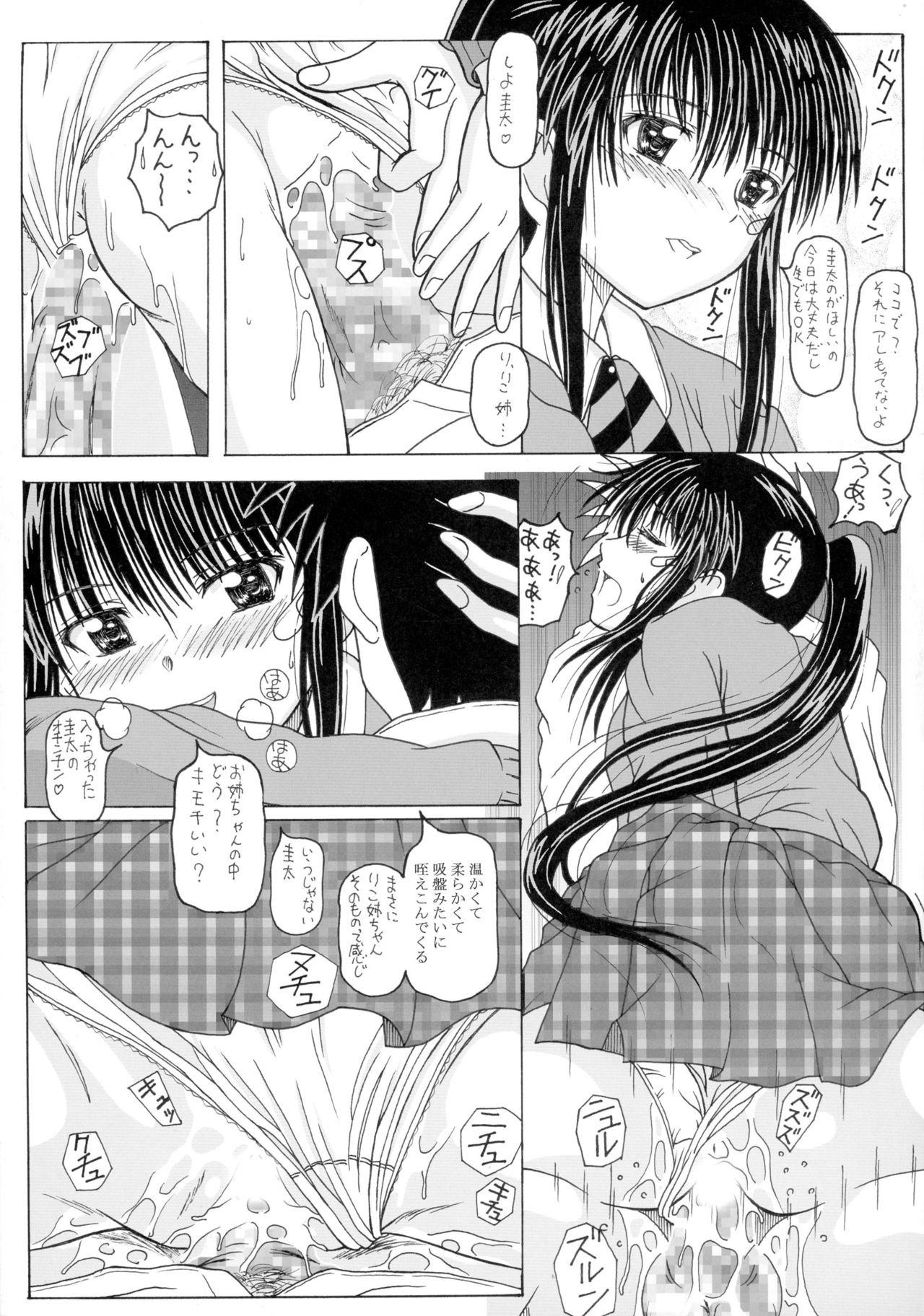 (サンクリ47) [華とりぼん (ぷりぷり右衛門)] ザ・お姉ちゃんズ (キス×シス)