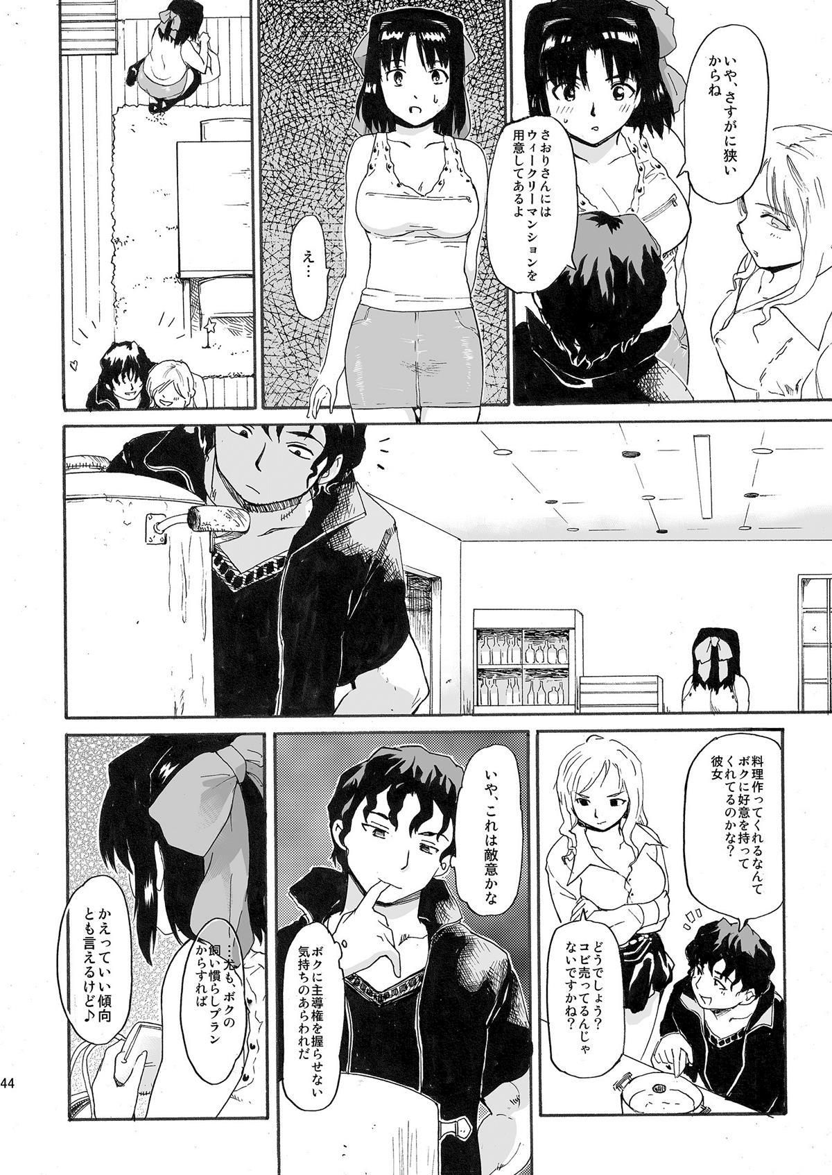 [PARANOIA CAT (藤原俊一)] 憧れの女 ―秘密の一週間― #1-3