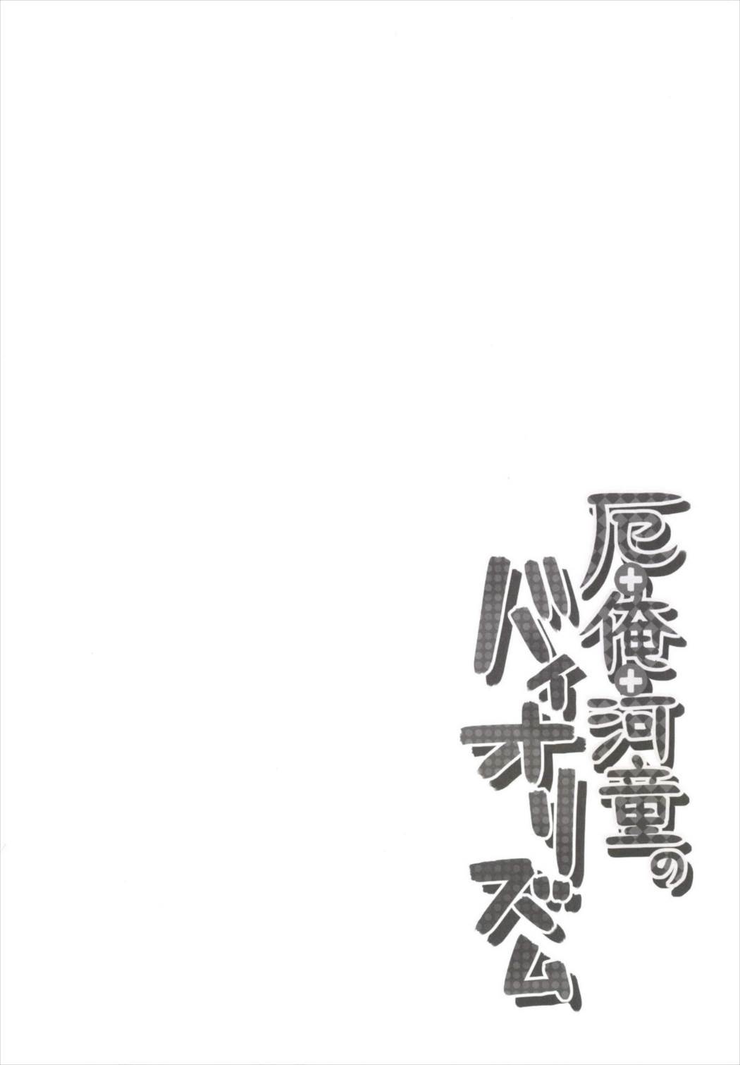 (例大祭11) [Crea-Holic (トシヒロ)] 厄+俺+河童のバイオリズム (東方Project)