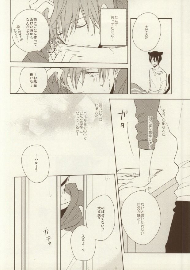 (恋愛サバイバル) [CASHLAIM (はる)] いただきます ごちそうさま (Free!)