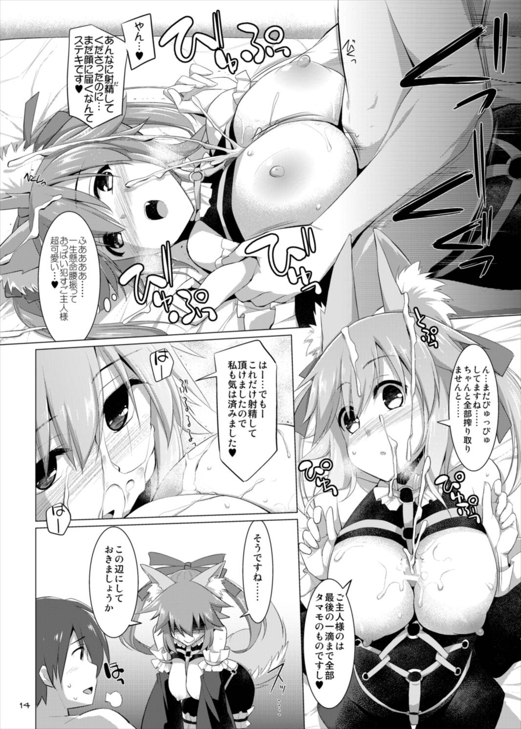 (C88) [といぼっくす、くぢらろじっく (くりから、くぢらん)] ご主人様おっぱいですよ!!4 (Fate/EXTRA)