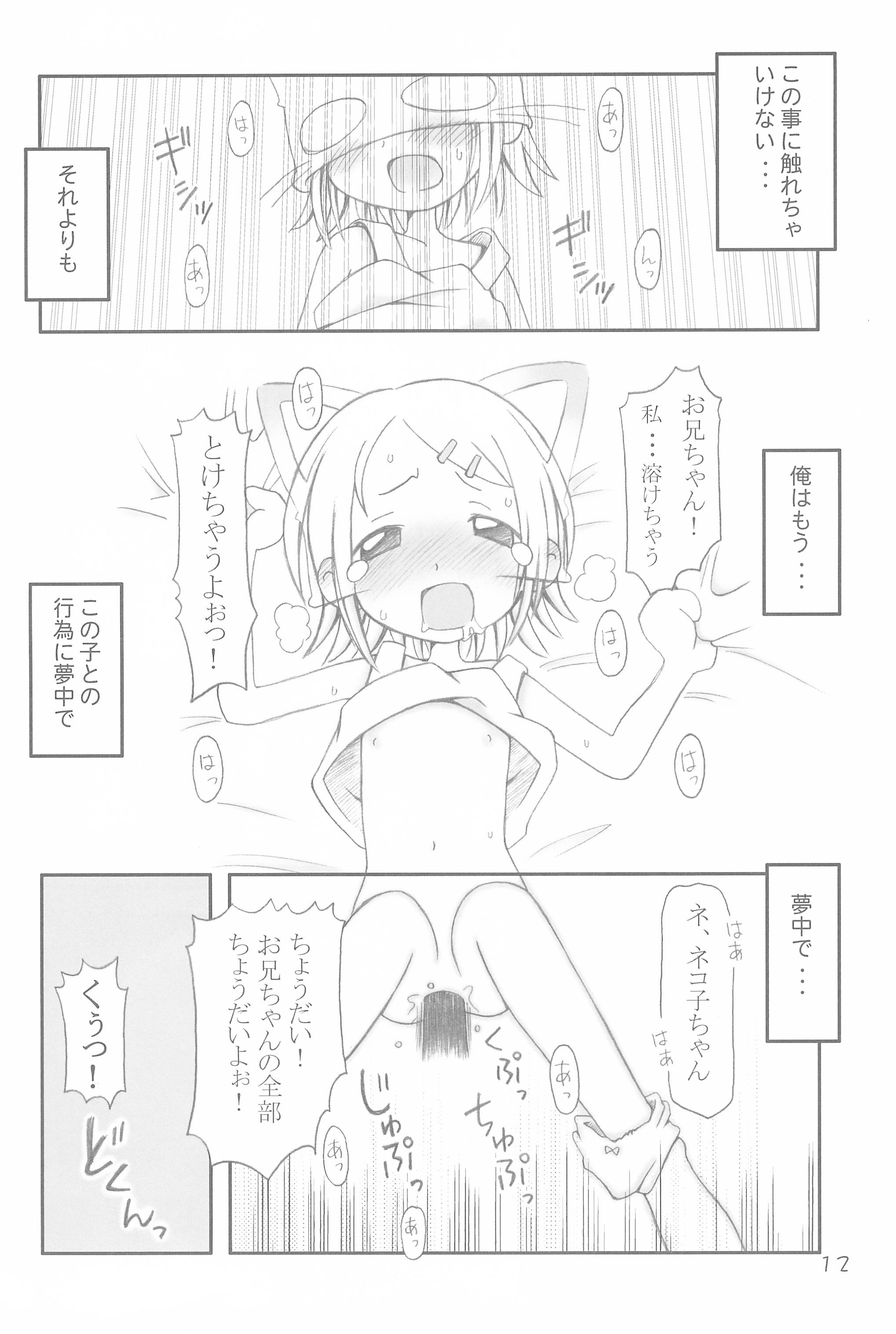 (C66) [まるの計画 (まるのすけ)] コネコノホホエミ