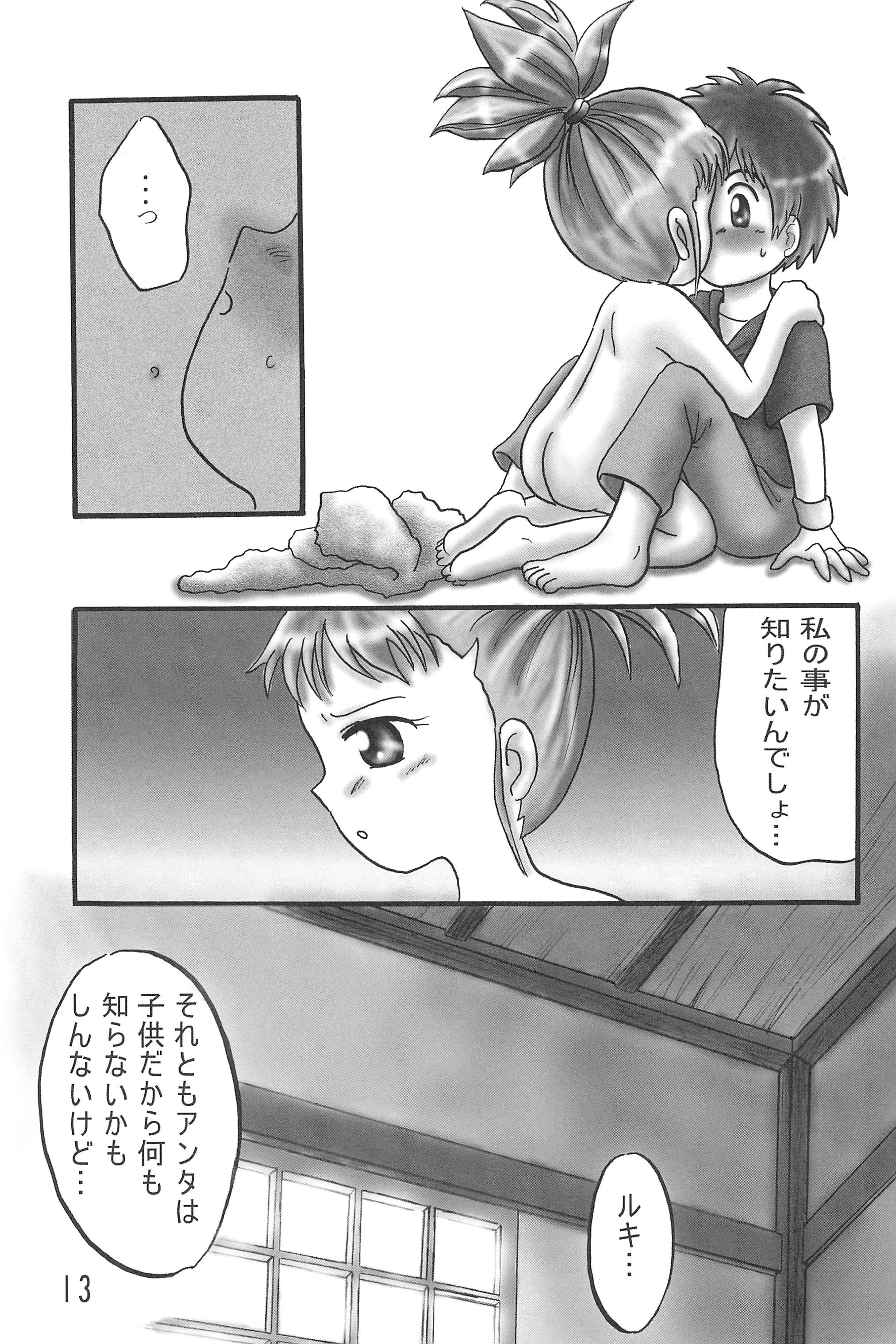 (C60) [電脳戯話 (高野庵)] こころの向こうに… (デジモンテイマーズ)