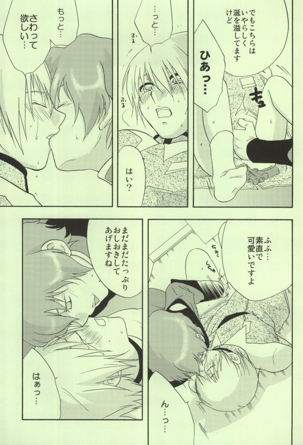 (C65) [accede@rabbit (パトリシアーナ菊池)] in WHITE (機動戦士ガンダムSEED)