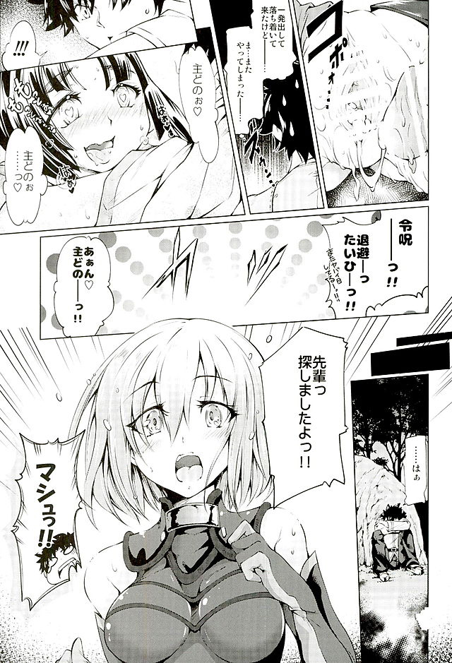 (サンクリ2016 Winter) [漆黒のバゼラード (九野十弥)] GARDEN NIGHT (Fate/Grand Order)