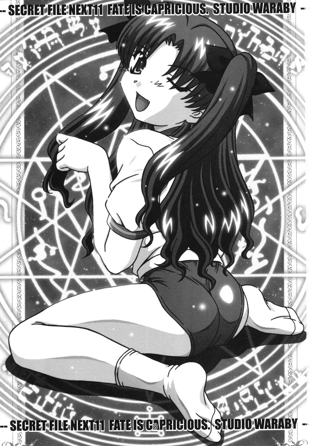 (C67) [スタジオ・ワラビー (鷹那優輝)] SECRET FILE NEXT 11 (Fate/stay night) [英訳]