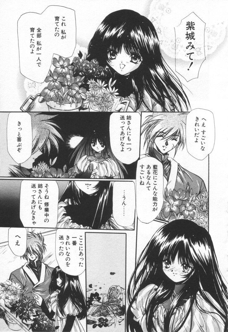 [速瀬羽柴] オーバチュア