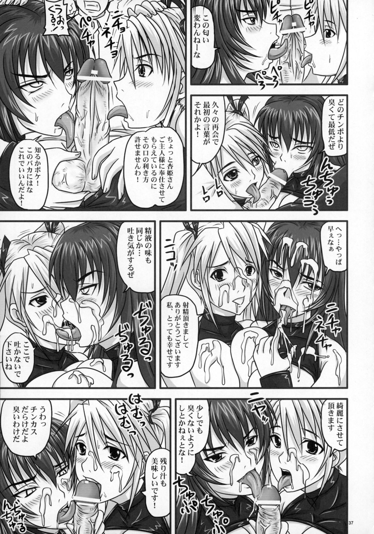 (C73) [のざらし (野晒惺)] ドSな姫は汚される ~辱ノ二 絶頂地獄~