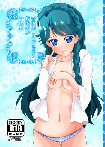 (C89) [MirrorWorld (未鏡)] 学園のプリンセスと心地よい一夜を (Go!プリンセスプリキュア)