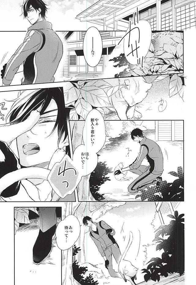 (C88) [はこにわ。 (マイ)] ゆめのおわり (刀剣乱舞)