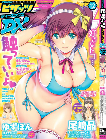 アクションピザッツDX 2015年12月号 アクションピザッツDX 2015年12月号