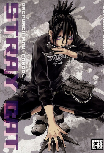 (C86) [リシアム (ユキマル)] stray cat (ワンパンマン)