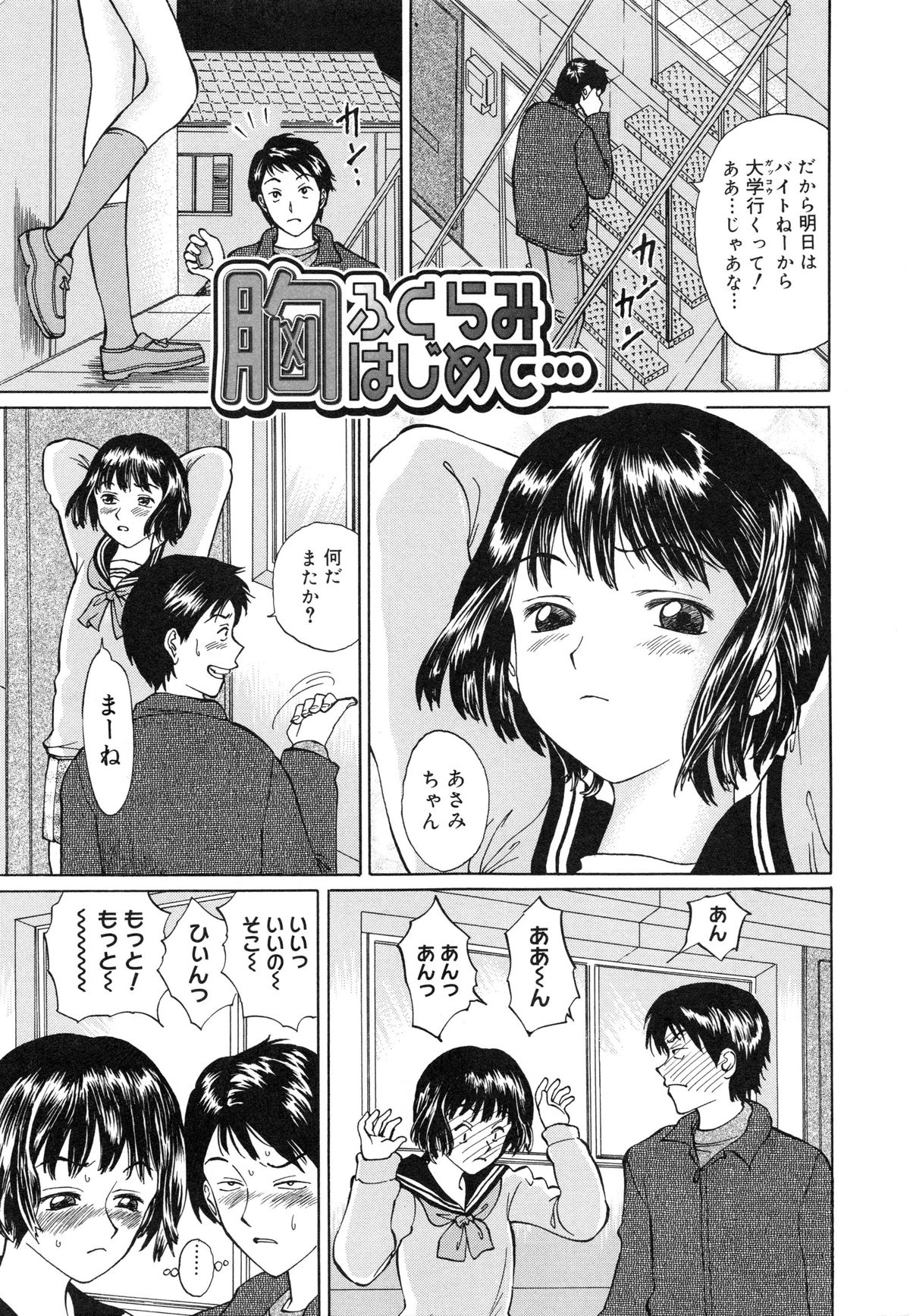 [二宮亮三] 純潔マニアック聖女