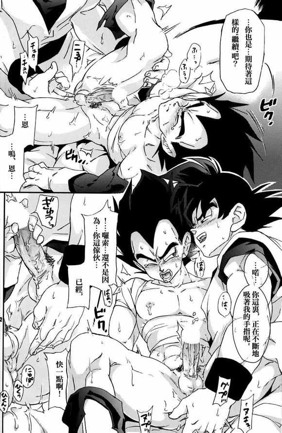 (C75) [毒銃龍 (ノラジ、狛川リミ)] ケモノたちは故郷をめざす (ドラゴンボールZ) [中国翻訳]