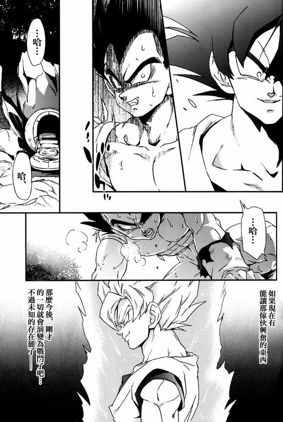 (C75) [毒銃龍 (ノラジ、狛川リミ)] ケモノたちは故郷をめざす (ドラゴンボールZ) [中国翻訳]