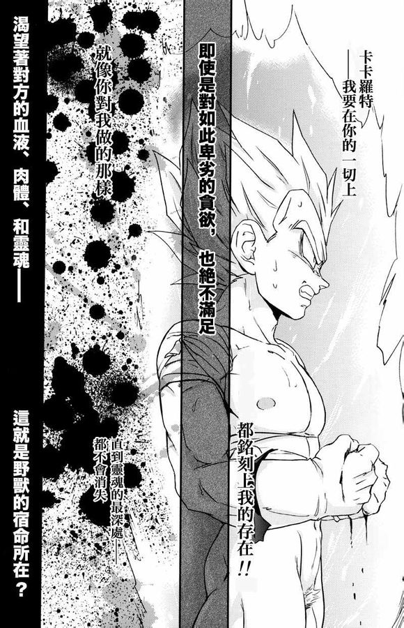 (C75) [毒銃龍 (ノラジ、狛川リミ)] ケモノたちは故郷をめざす (ドラゴンボールZ) [中国翻訳]