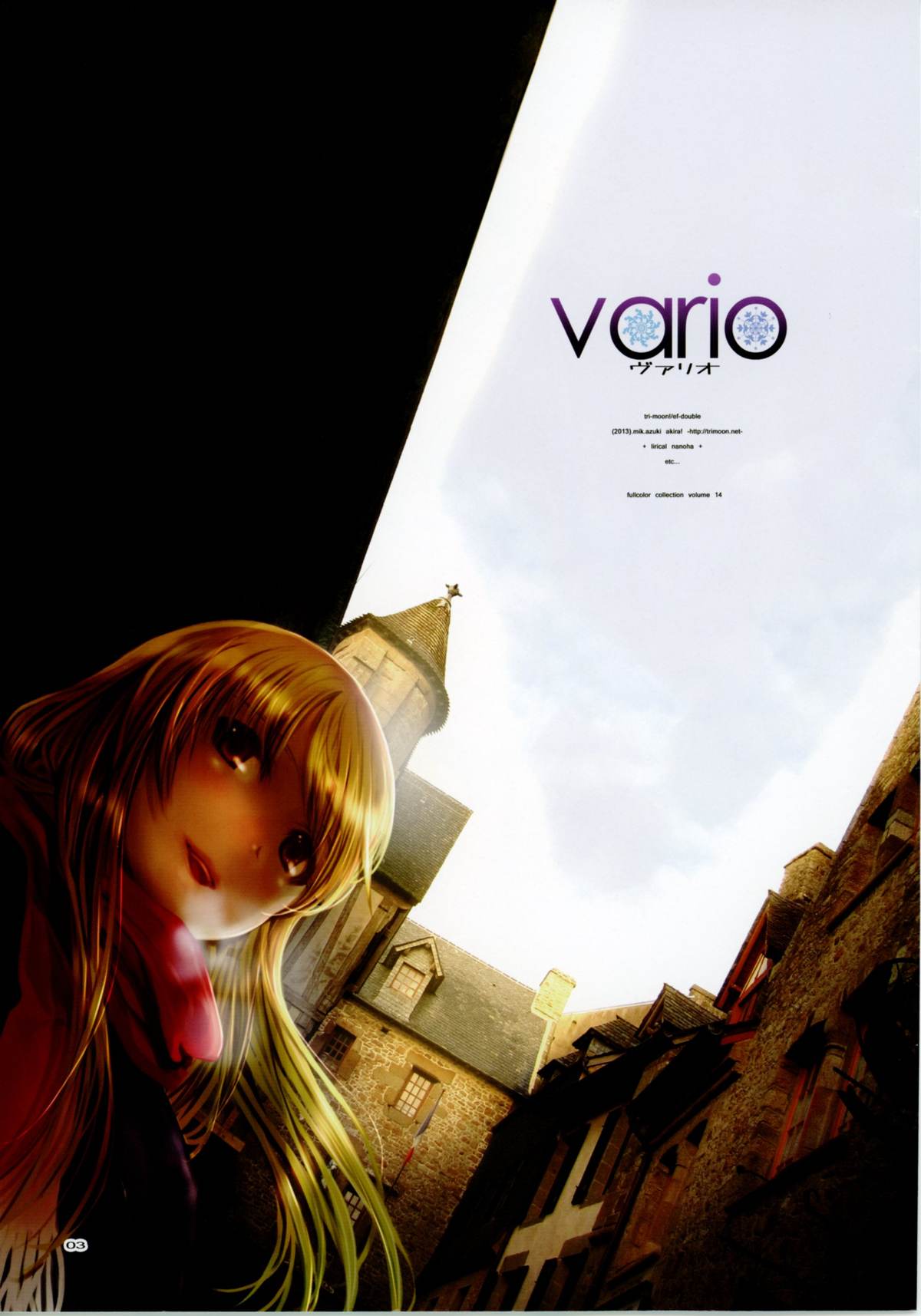 (C85) [TRI-MOON! (みかづきあきら!)] vario (魔法少女リリカルなのは)