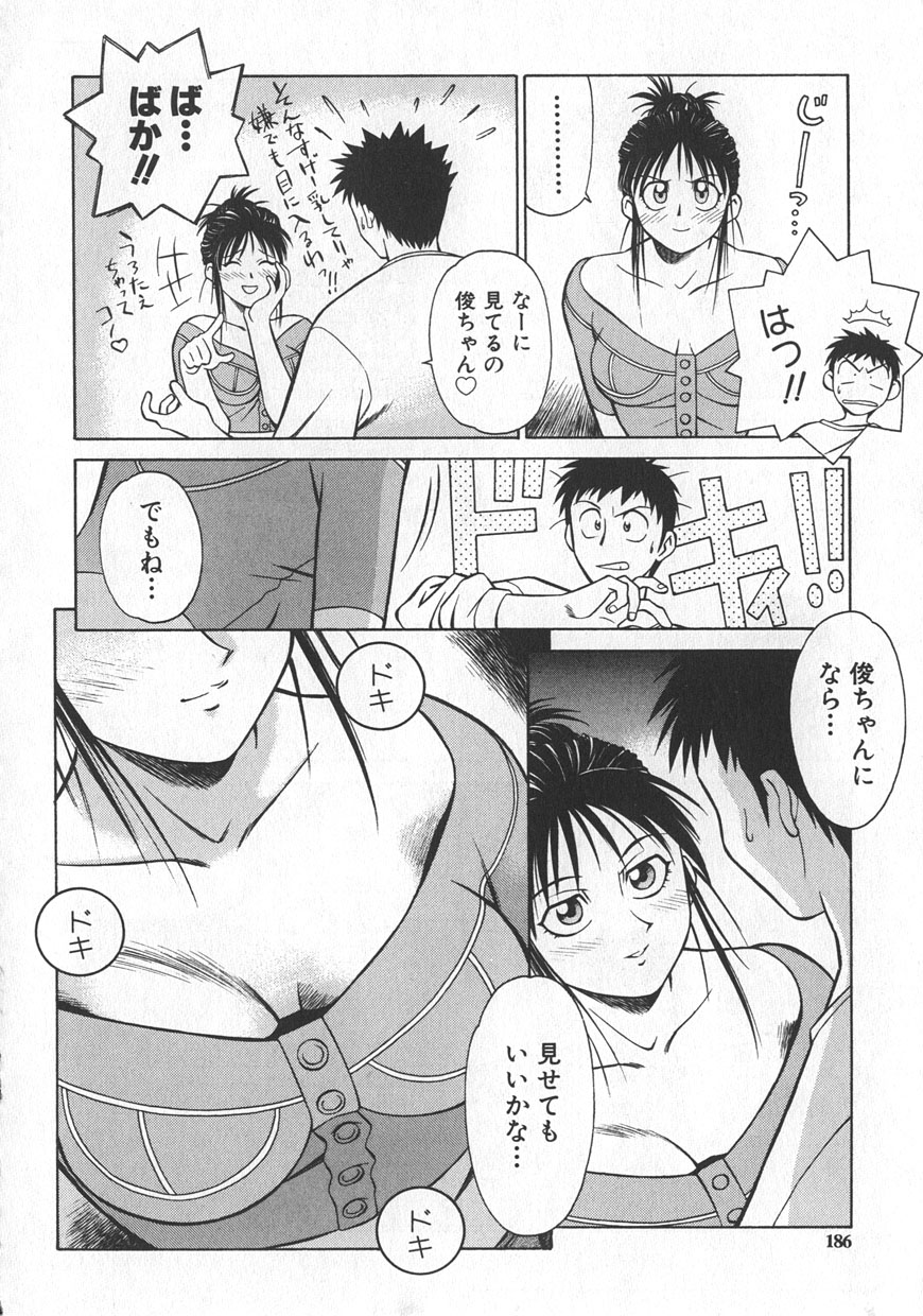[山桜桃] レイミアよろずカンパニー