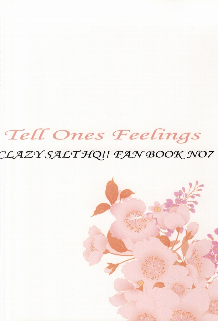 (SUPER23) [クレイジーソルト (なすきち)] Tell One's Feelings (ハイキュー!!)