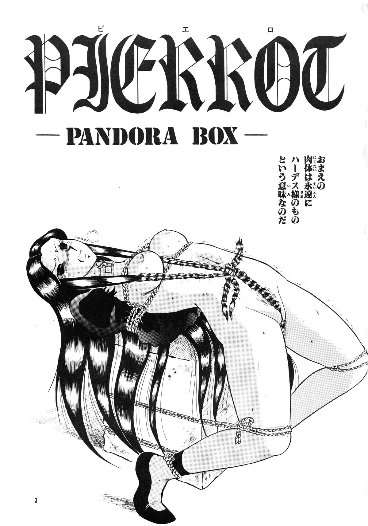 (C39) [クロスファイト！！(合体総統)] PIERROT -PANDRA BOX- (聖闘士星矢)