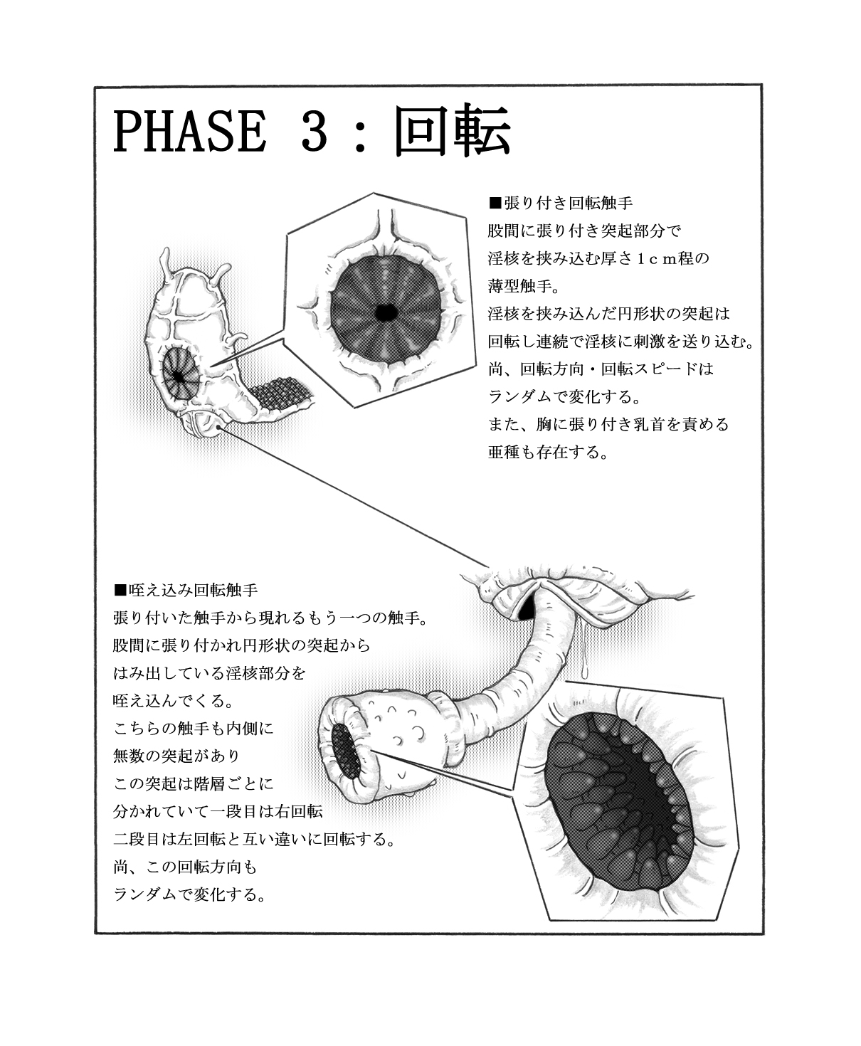 [東洋雑技団] 触核 [DL版]