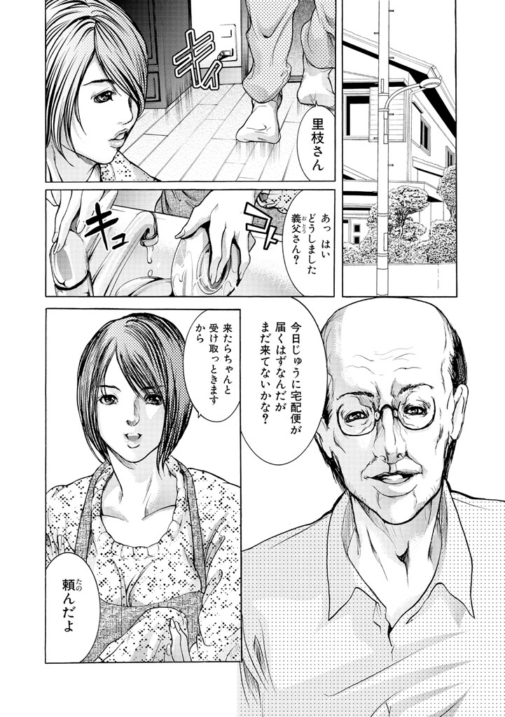 [三顕人] ヒトヅマナブリ [DL版]