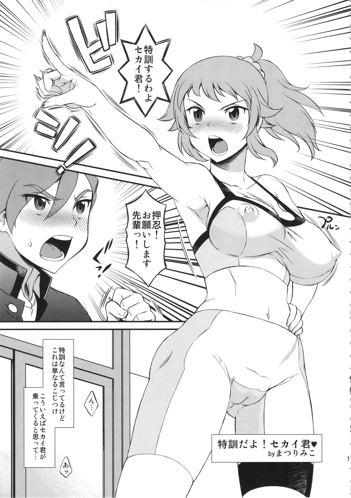 (COMIC1☆9) [TSK-BAR (トグチマサヤ、まつりみこ、田沼雄一郎)] TRYMIX (ガンダムビルドファイターズトライ)