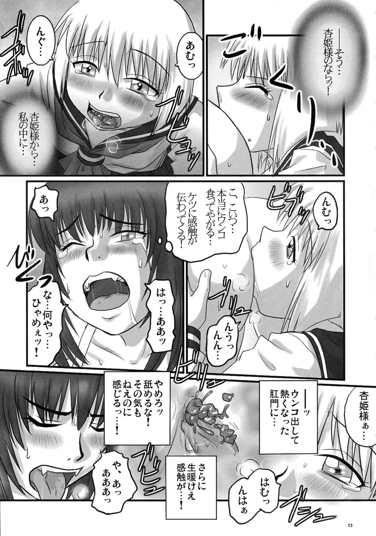 (C71) [のざらし (野晒惺)] 逆襲の杏姫様