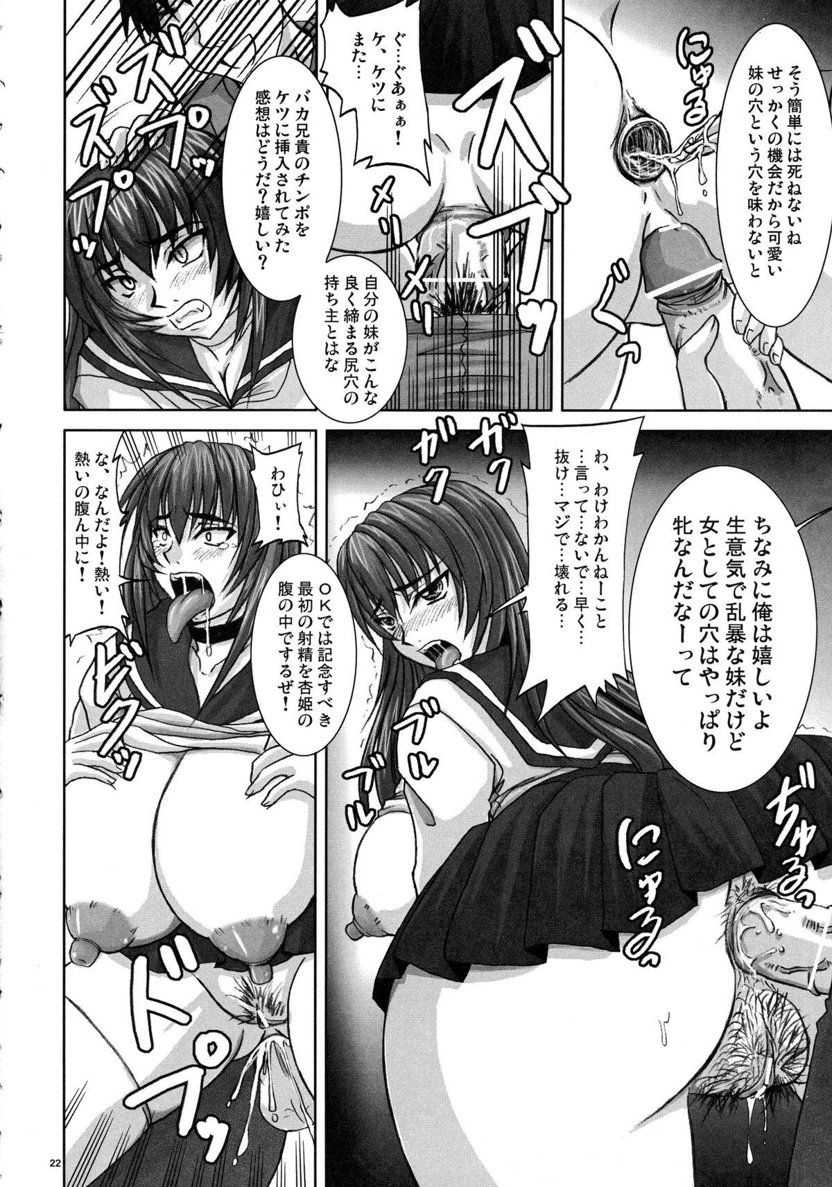(C71) [のざらし (野晒惺)] 逆襲の杏姫様