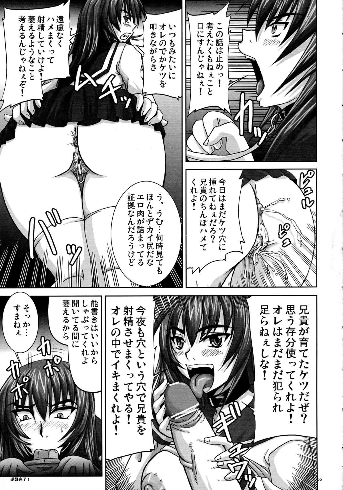 (C71) [のざらし (野晒惺)] 逆襲の杏姫様