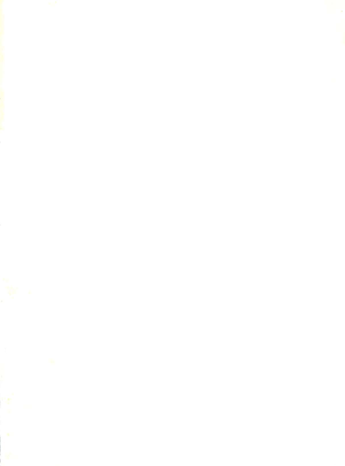 (C61) [彩画堂 (異食同元)] スイートフォーマイスイート新訂版 (新世紀エヴァンゲリオン)