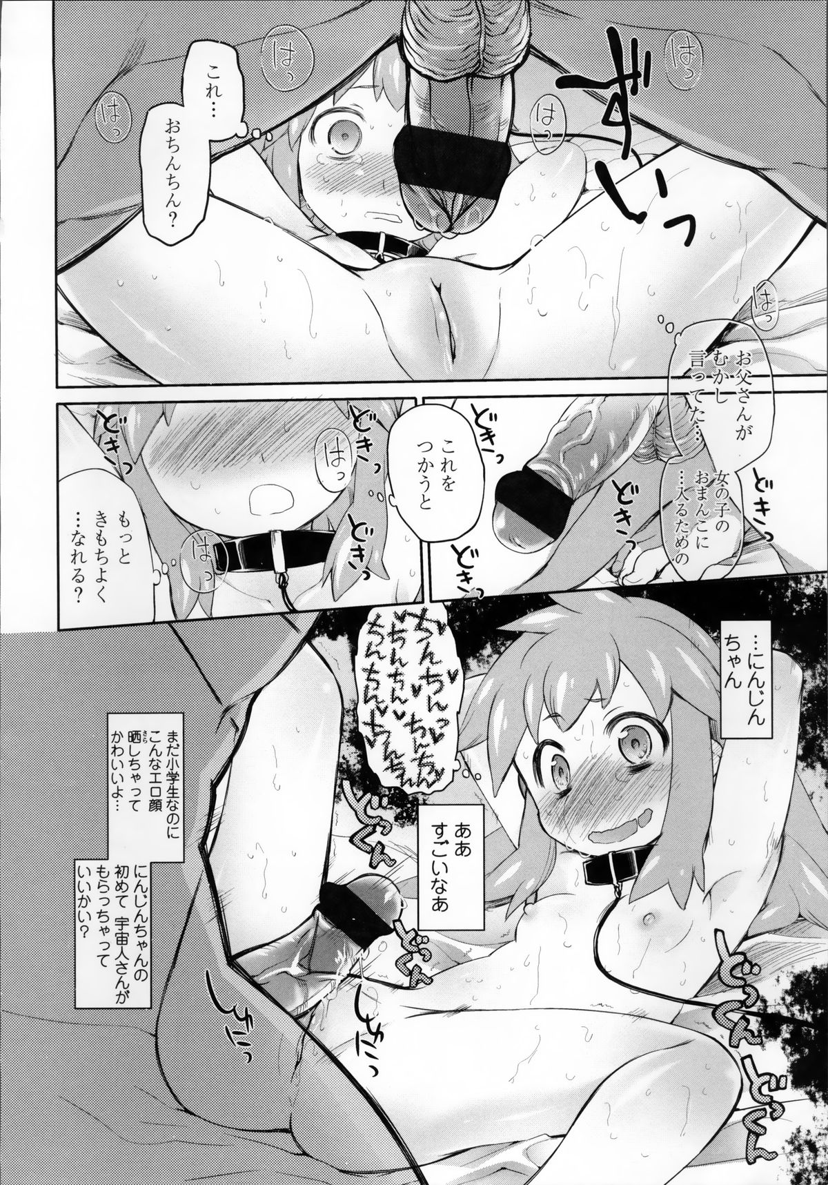 [緑のルーペ] ガーデン II