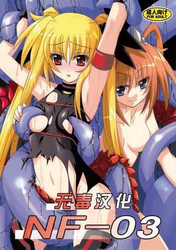 (C77) [夜の勉強会 (ふみひろ)] NF-03 (魔法少女リリカルなのは) [中国翻訳]